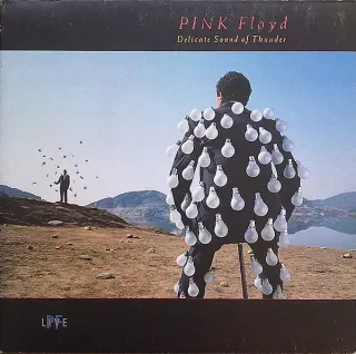 Pink Floyd - Delicate Sound Of Thunder (PF Live) - Bild 1
