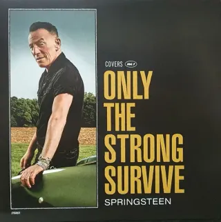 Springsteen* - Only The Strong Survive (Covers Vol. 1) - Bild 1