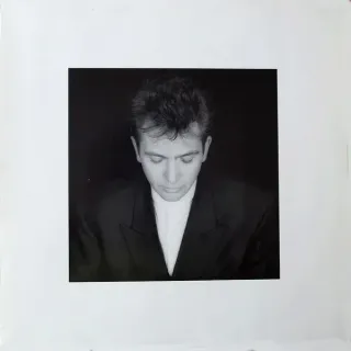 Peter Gabriel - Shaking The Tree: Twelve Golden Greats - Bild 1