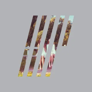 Steven Wilson - 4½ - Bild 1