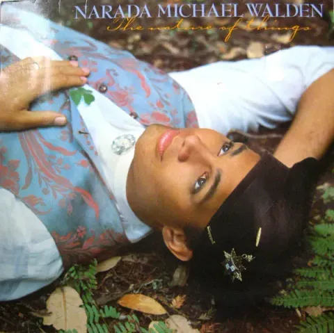 Background image for Narada Michael Walden - The Nature Of Things