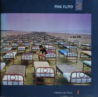 Pink Floyd - A Momentary Lapse Of Reason - Bild 1